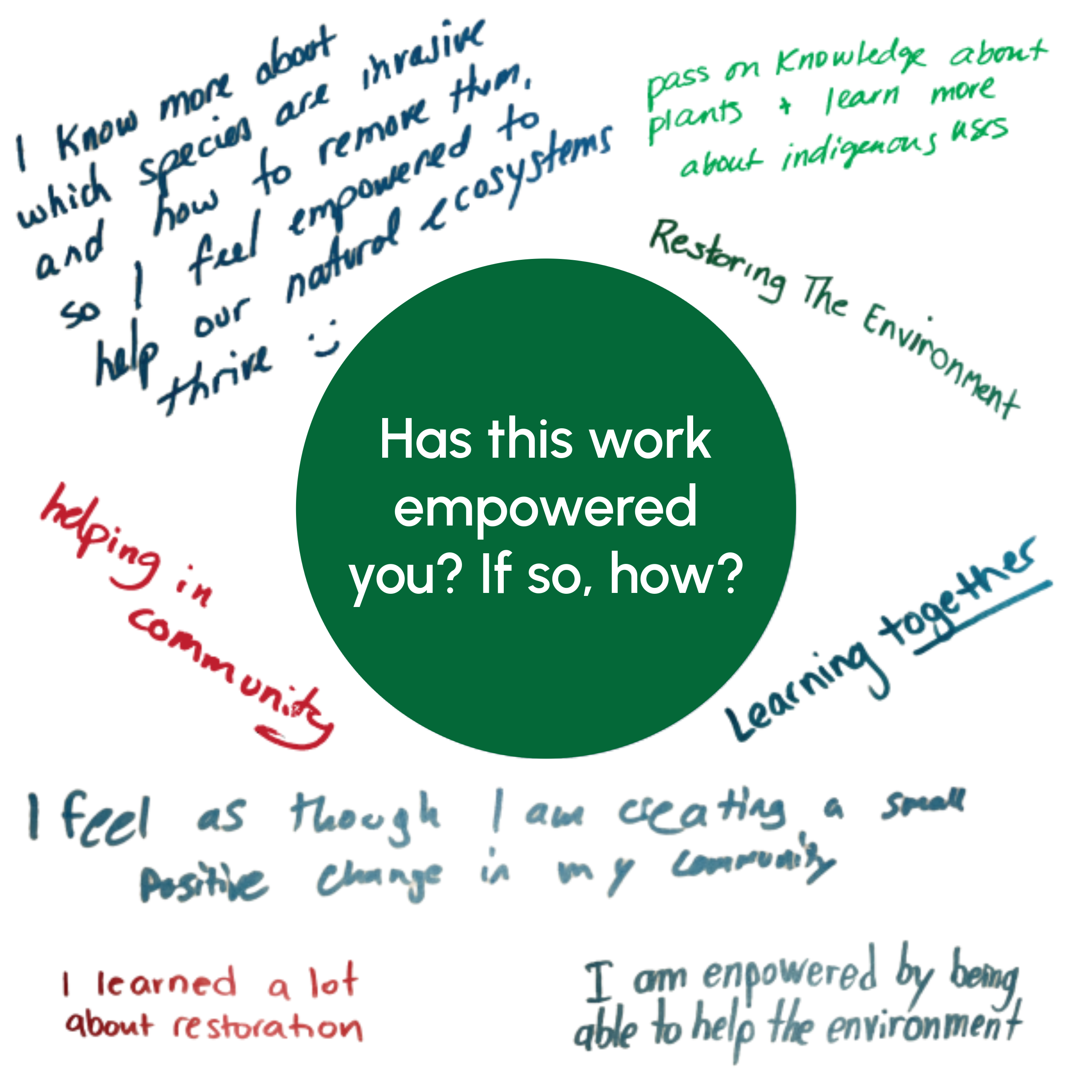 AAP_has this work empowered you_ updated branding 2026