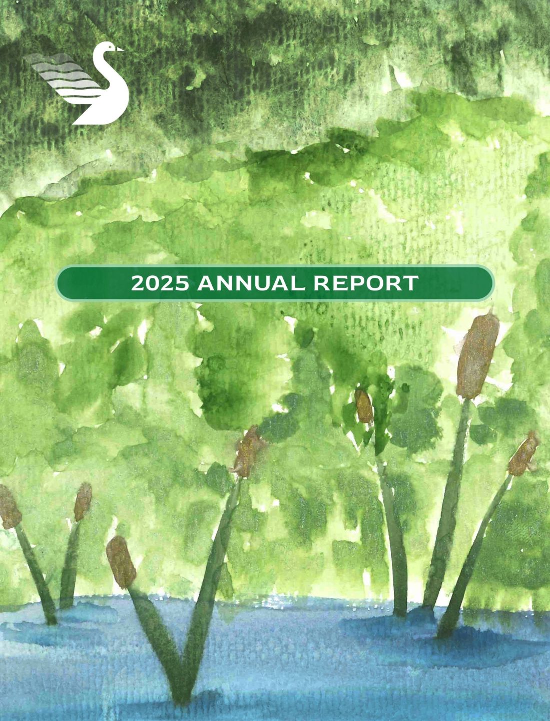 Annual Report for Website