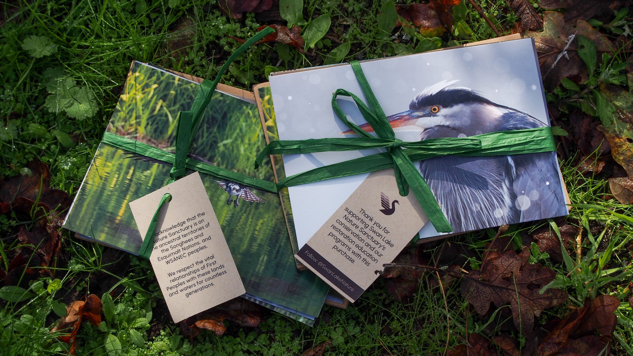 Swan Lake cards with photos of wildlife on site