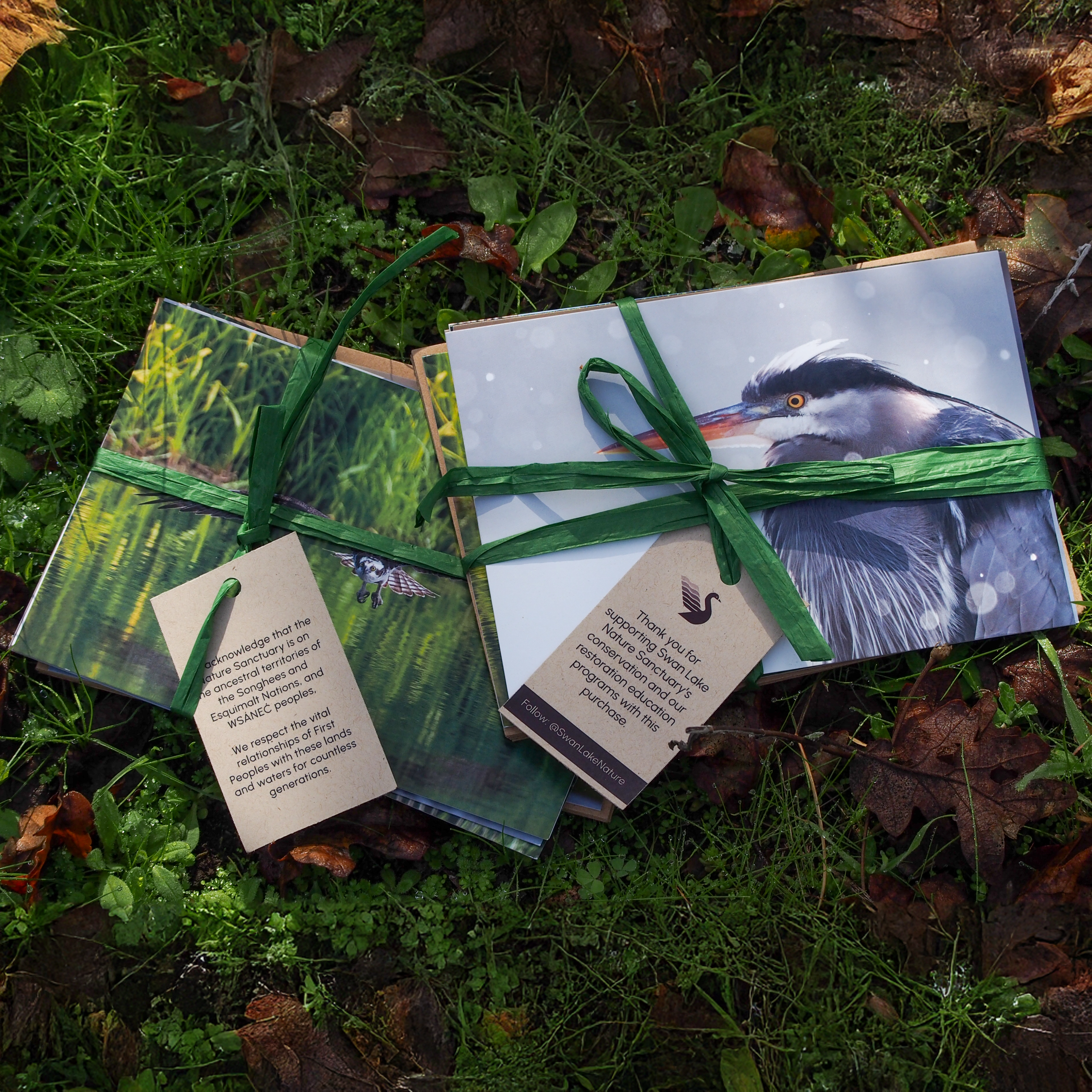 Swan Lake Greeting Cards Swan Lake greeting cards featuring wildlife on site