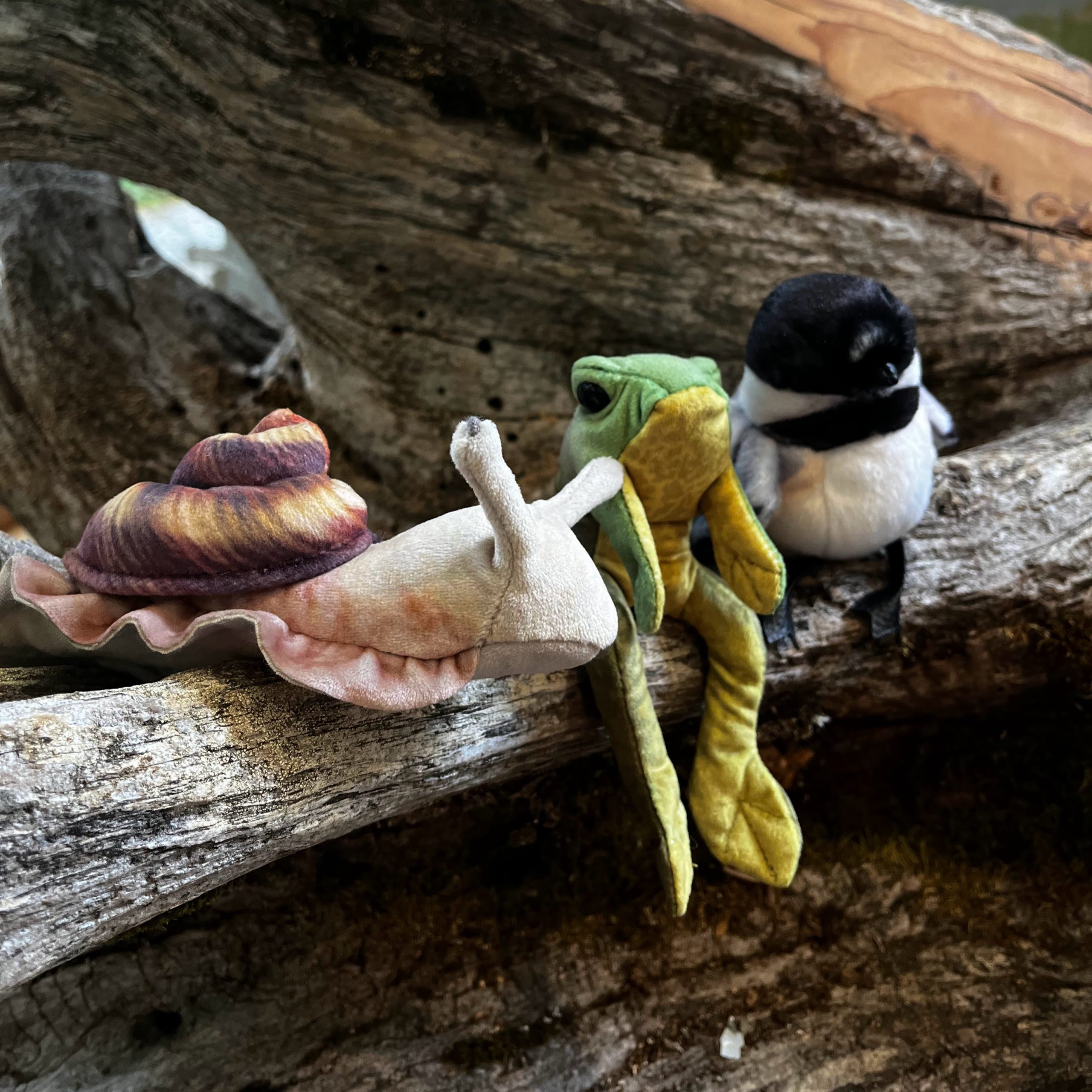 Finger Puppets Finger Puppets