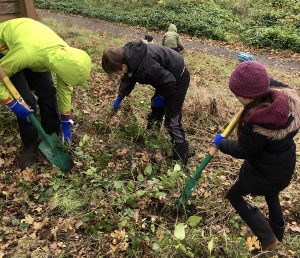 Children working outside to prepare nesting habitat for Western Painted Turtles.