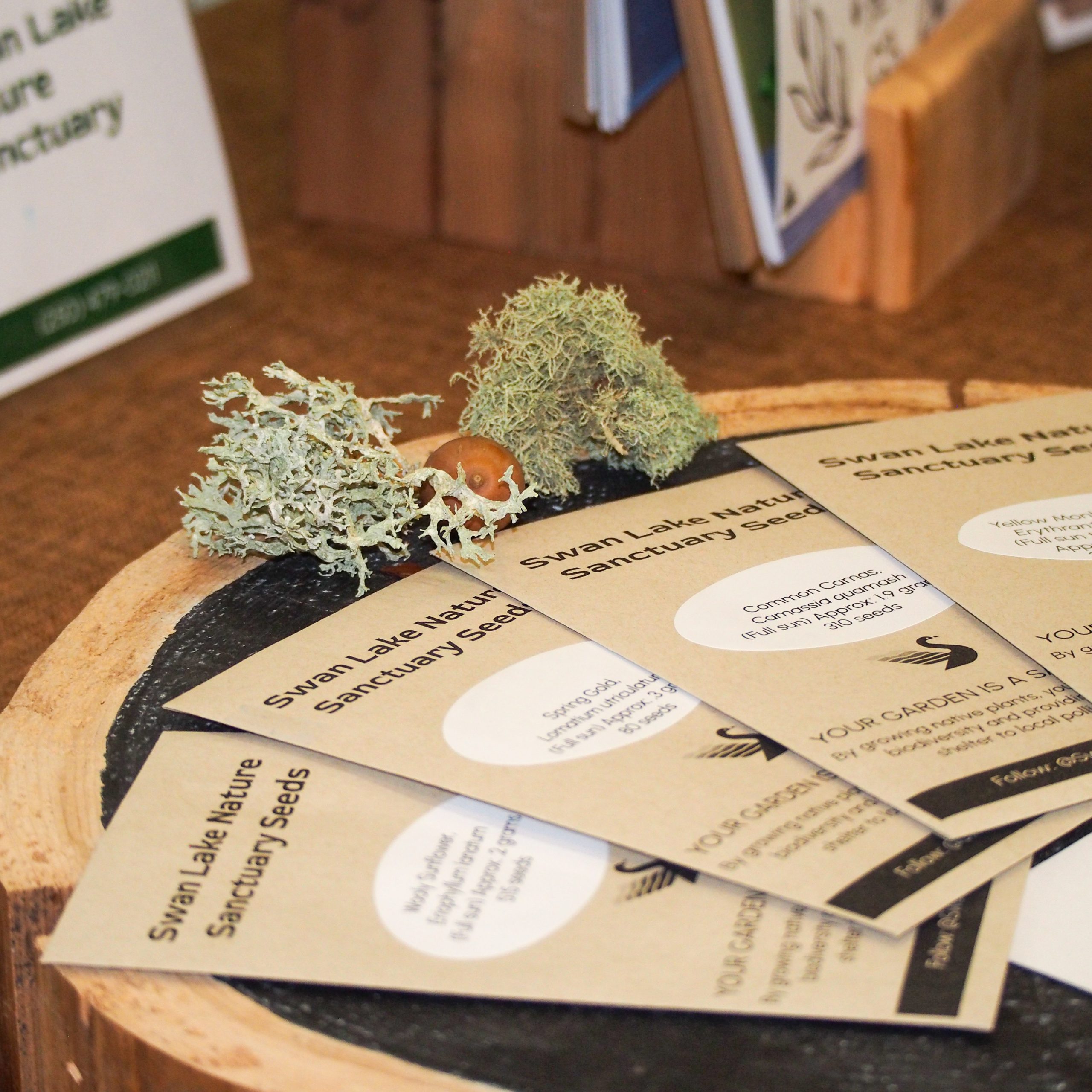 Native Plant Seeds Native Plant Seeds