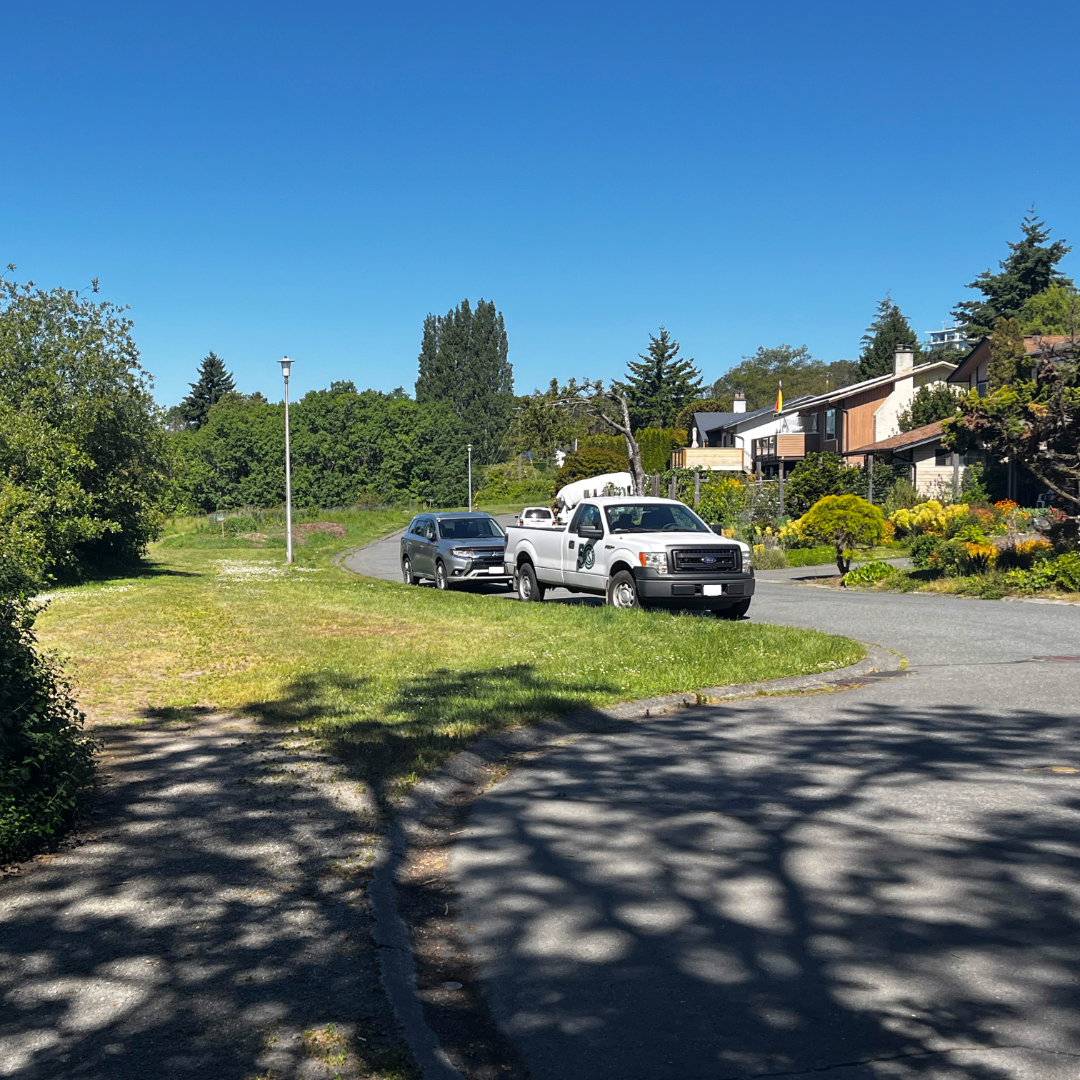 Nelthorpe parking test
