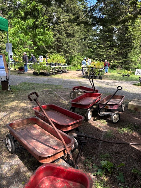 RedwagonsNPS_20250504CG