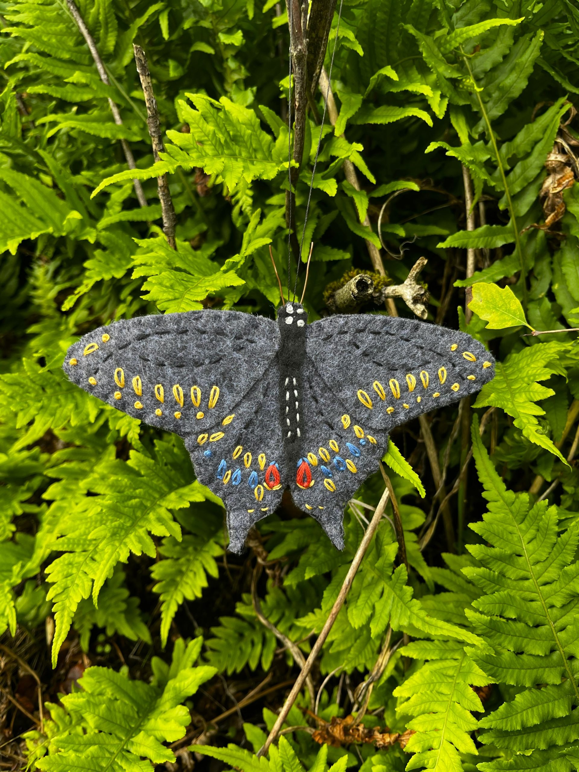 SilverSwansButterfly_MourningCloak_OLevert_2025