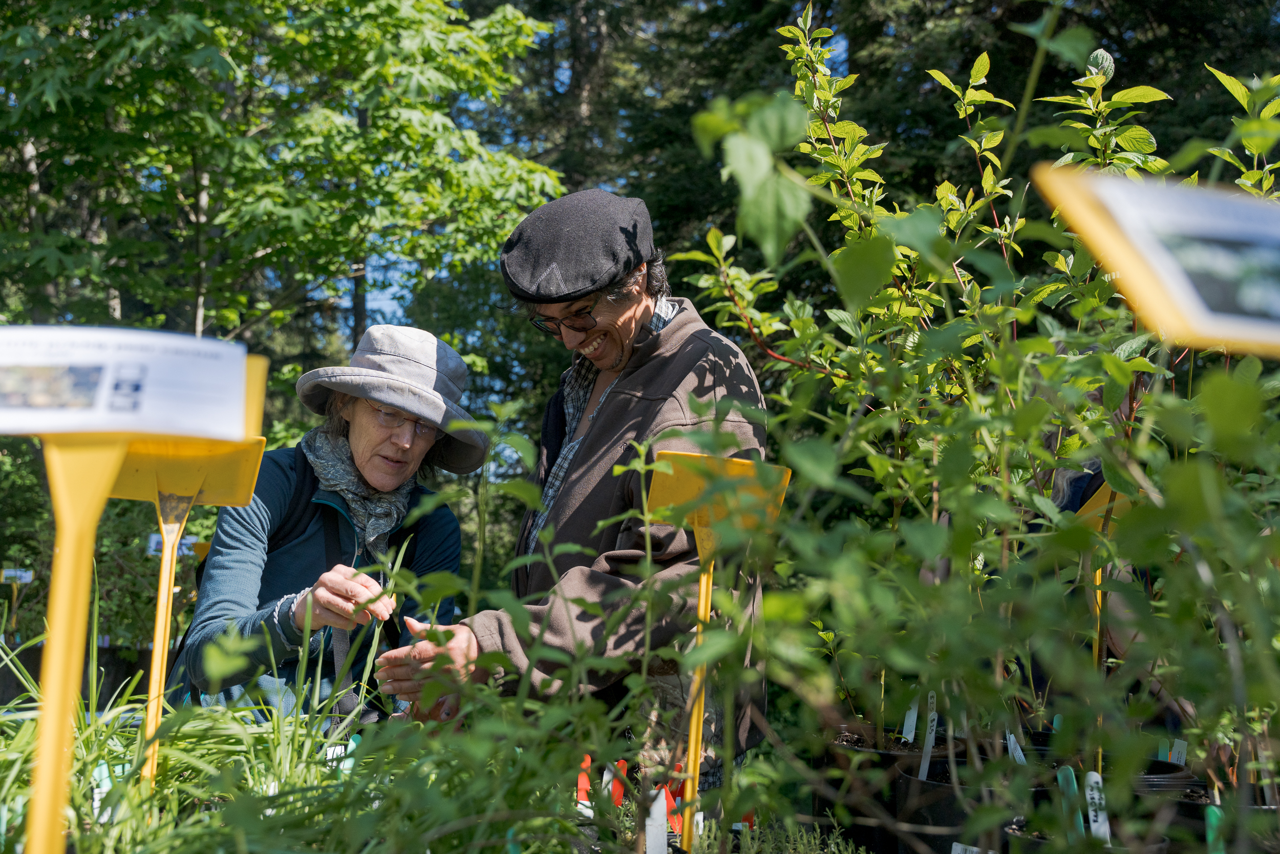 Swan Lake Native plant sale -May 2nd 2026 - KC-10