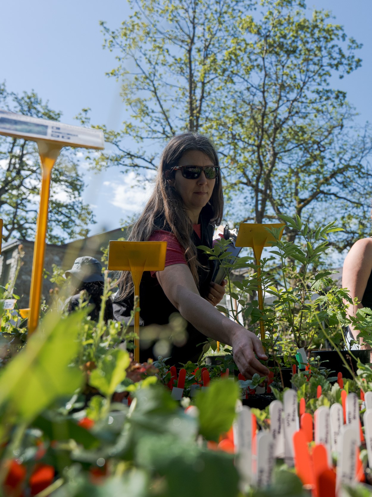 Swan Lake Native plant sale -May 2nd 2026 - KC-2_cropped vertical