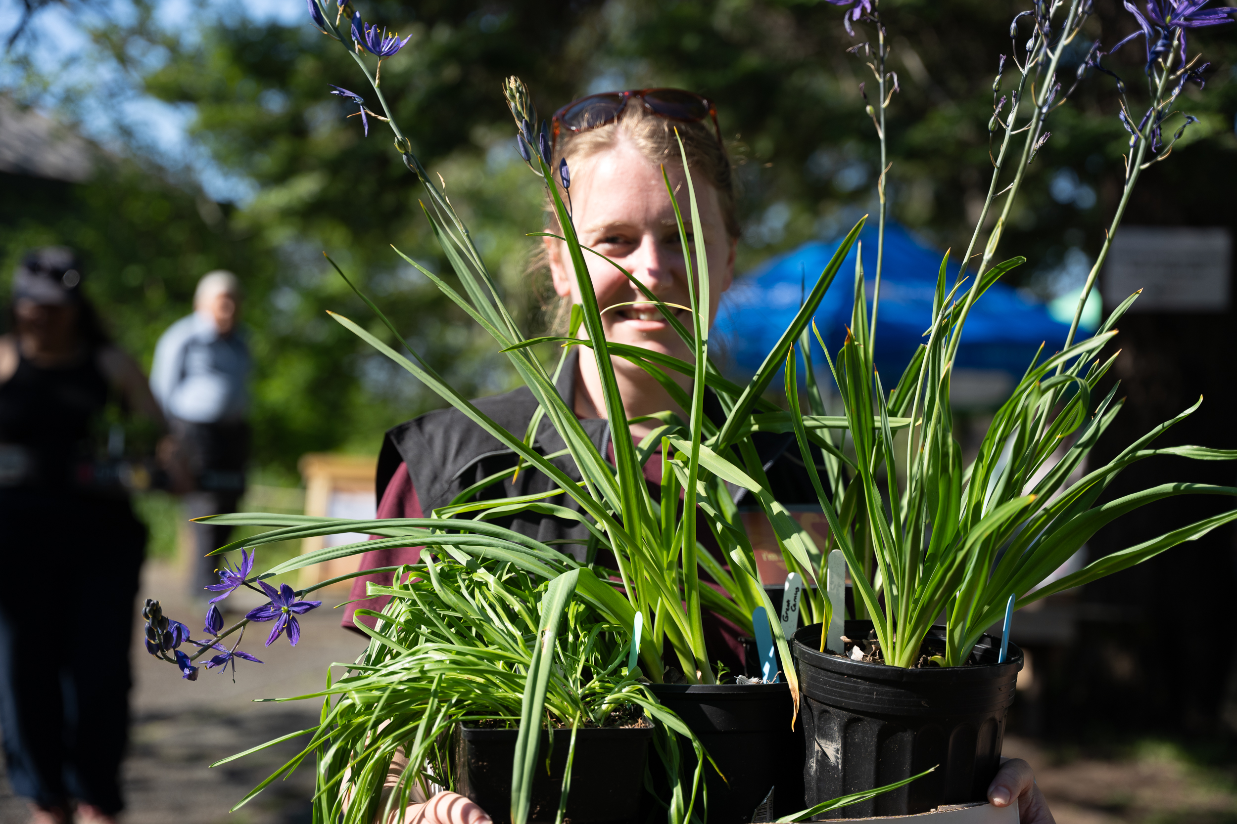 Swan Lake Native plant sale -May 2nd 2026 - KC