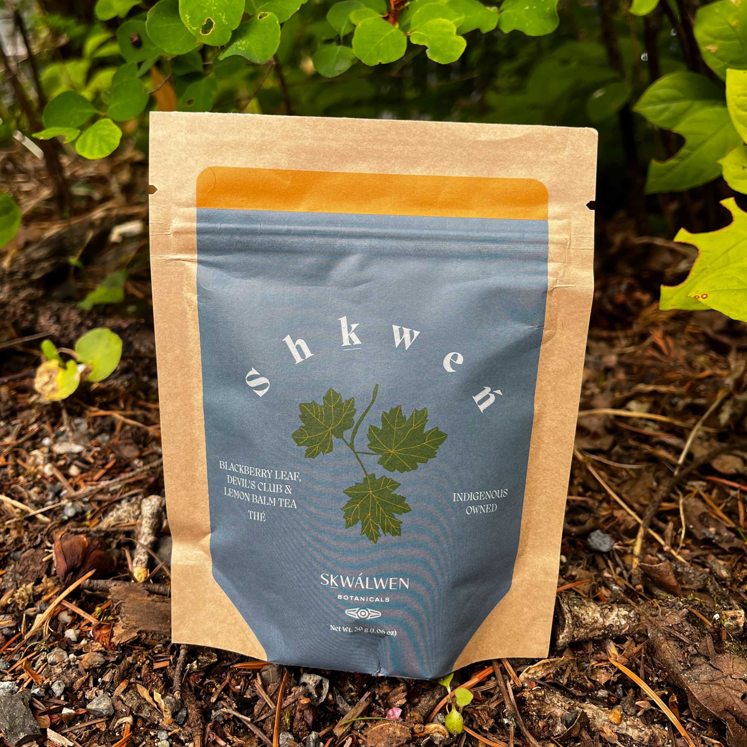 Sḵwálwen Botanicals Tea Sḵwálwen Botanicals Tea