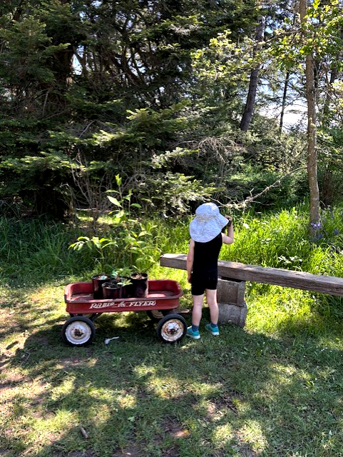 WeeShopper20250504CG