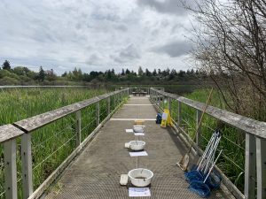 Nets and other equipment ready for invertebrate sampling on a dock