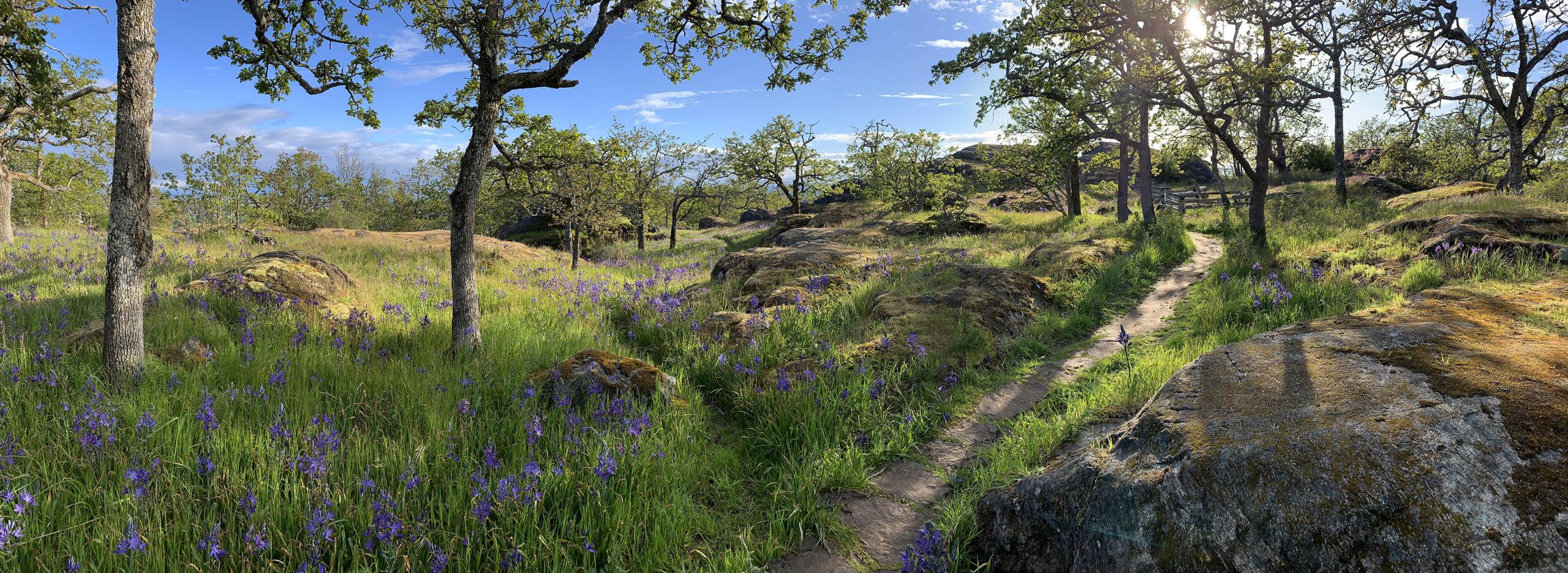 XmasHillSpringSunset20220510CaraGibson